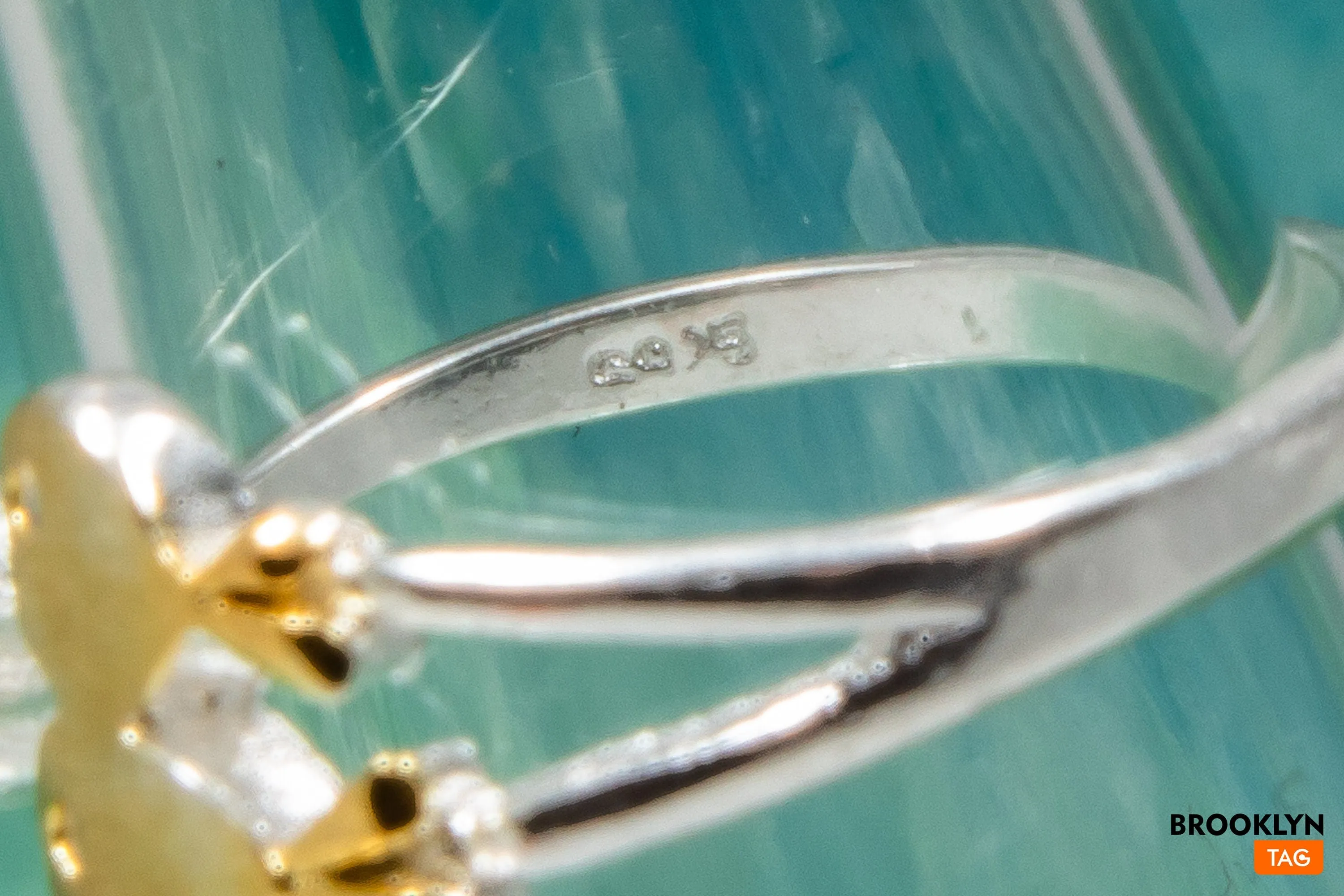 Ring with Fishes