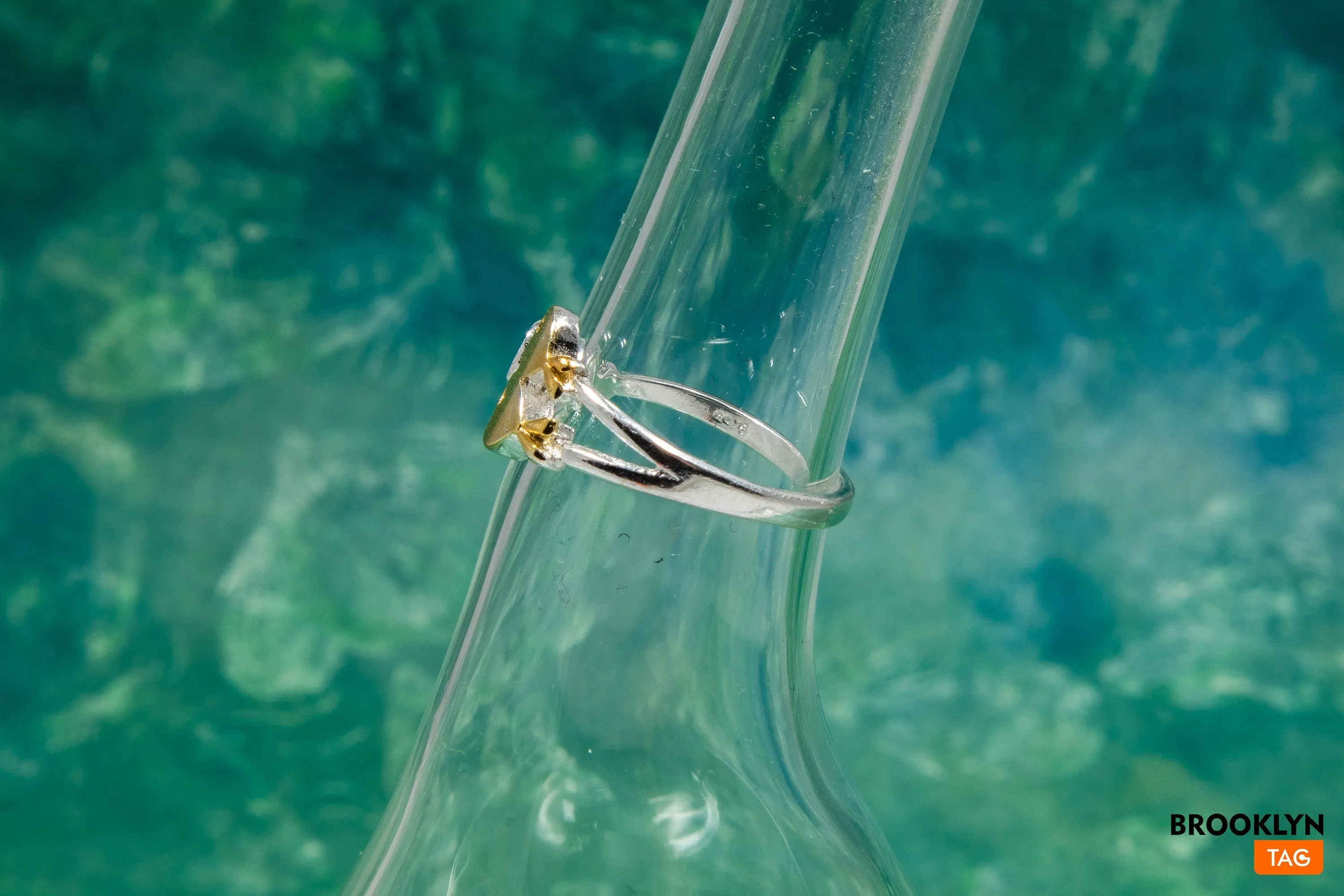 Ring with Fishes
