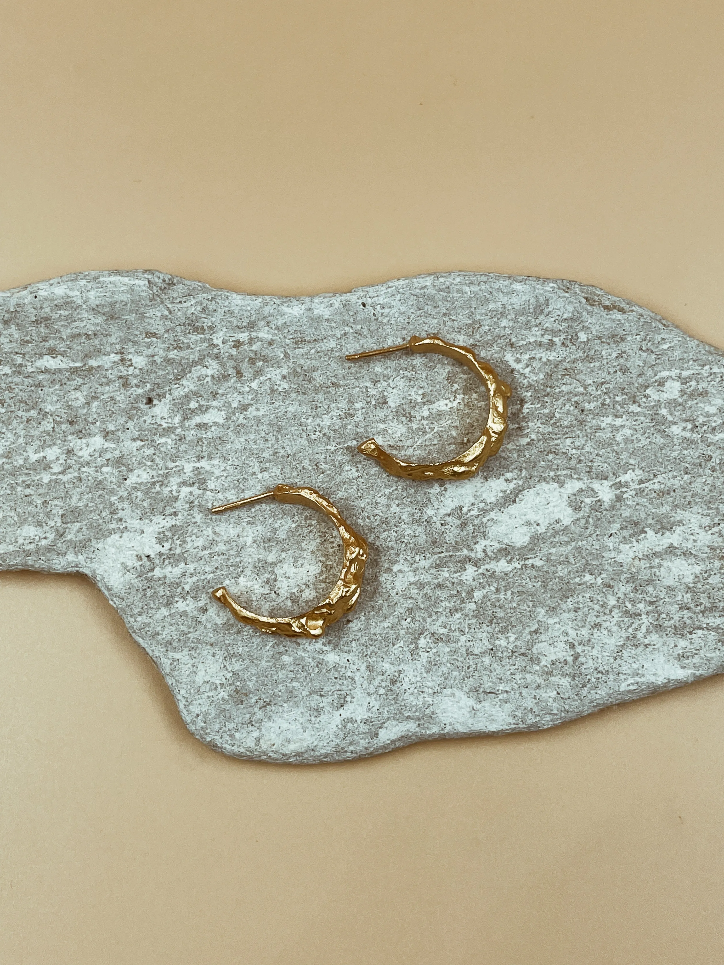 Small Vision Hoops