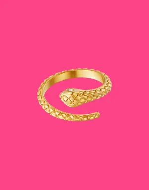 Stainless steel ring snake with zircon details